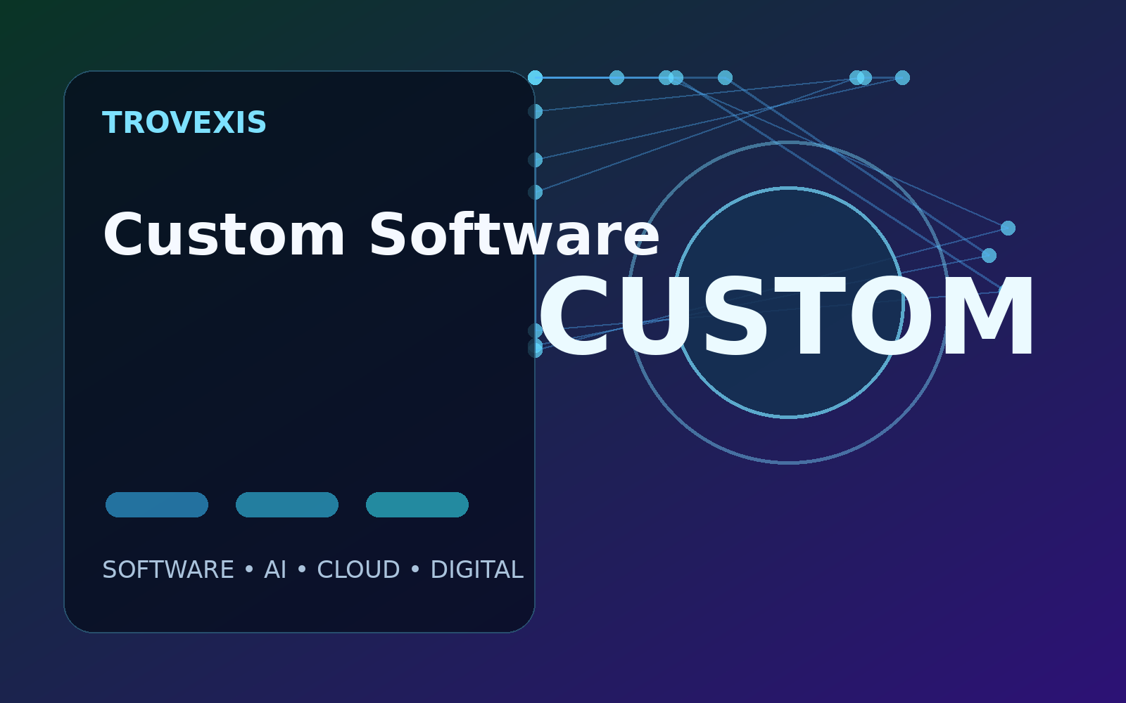 Custom software